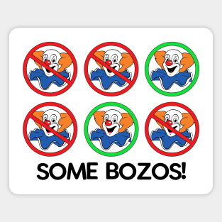 SOME BOZOS! Magnet